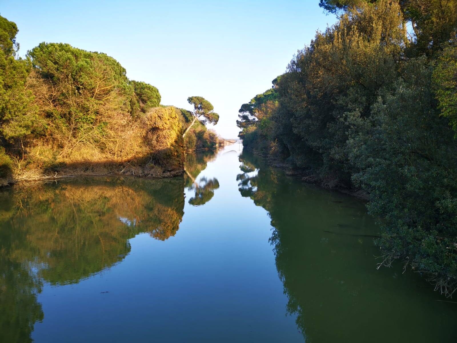 Parco Delta Po (Pineta Fosso Ghiaia)