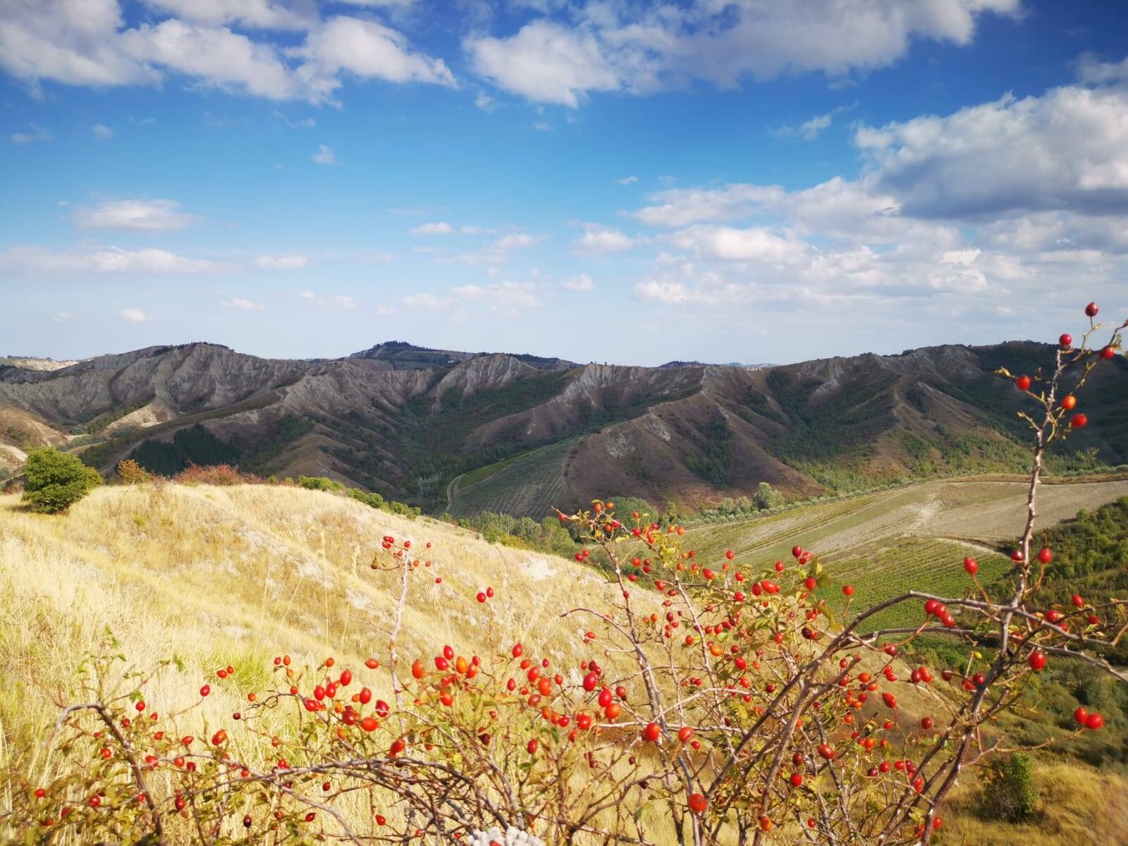 Parco vena del Gesso