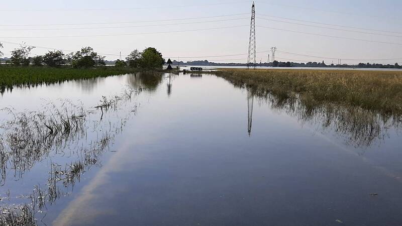 Proroghe procedimentali a beneficiari di contributi e finanziamenti nel settore agroalimentare e dello sviluppo rurale