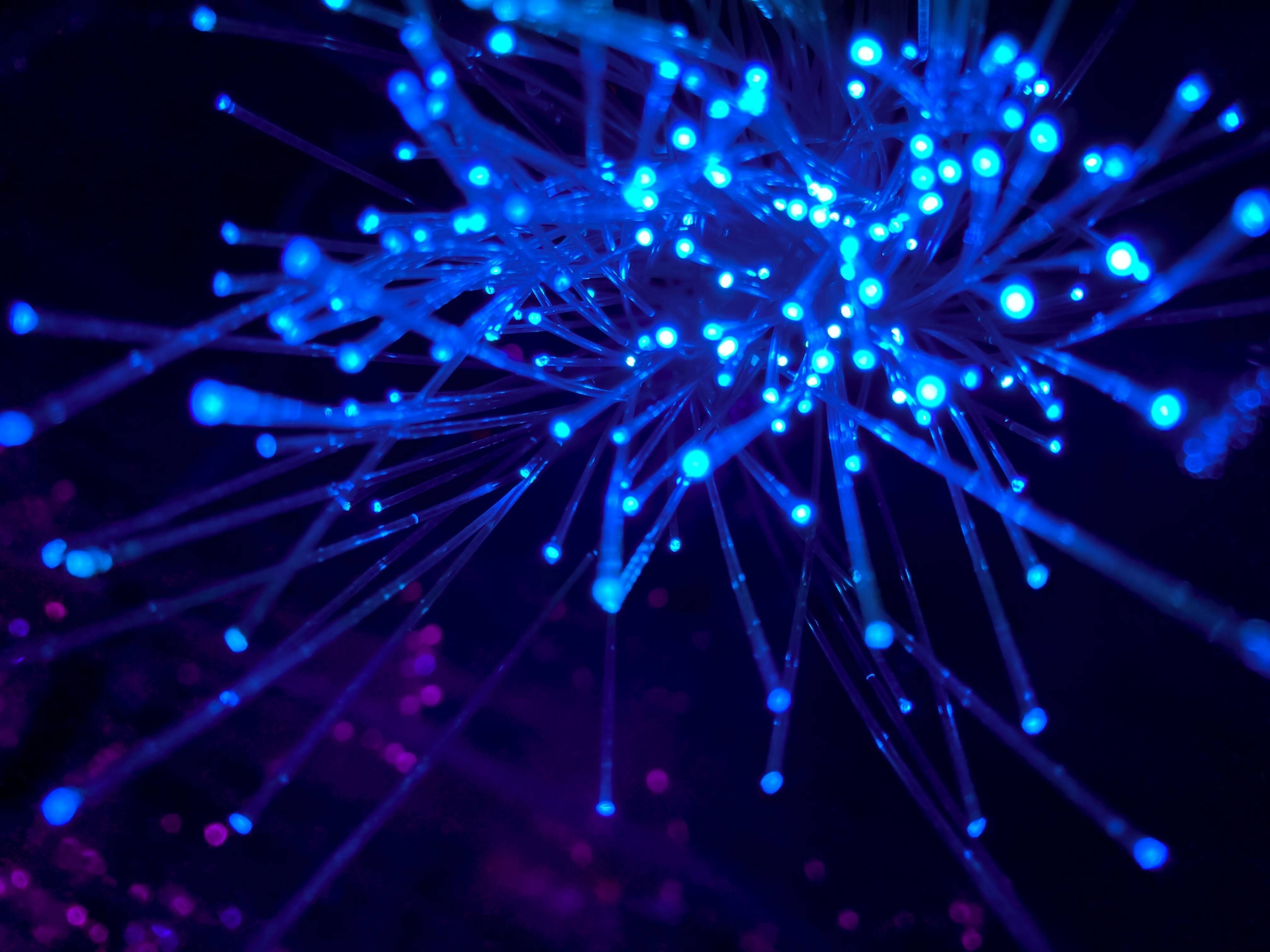 Immagine: Fibra ottica
