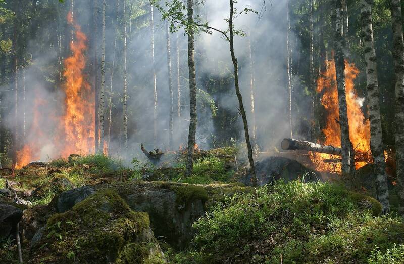 Incendi boschivi: da lunedì 22 giugno si entra in “fase di attenzione”