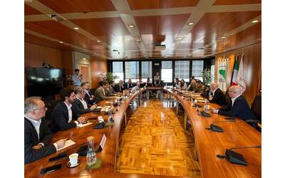 Incontro in Regione con il Commissario Figliuolo