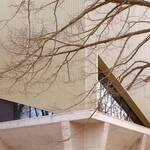 Foto Esterni dell'Istituto Olivetti-Callegari 