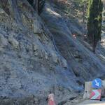 Lavori versante S.Cassiano - Foto4