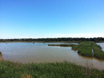 Parco del Delta del Po, Ortazzo-Ortazzino diventa proprietà pubblica