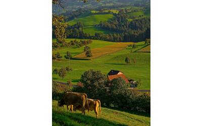 paesaggio rurale