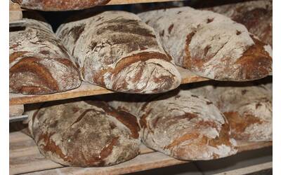 Immagine: pane