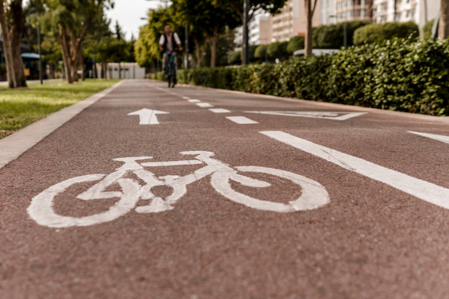 Pista Ciclabile