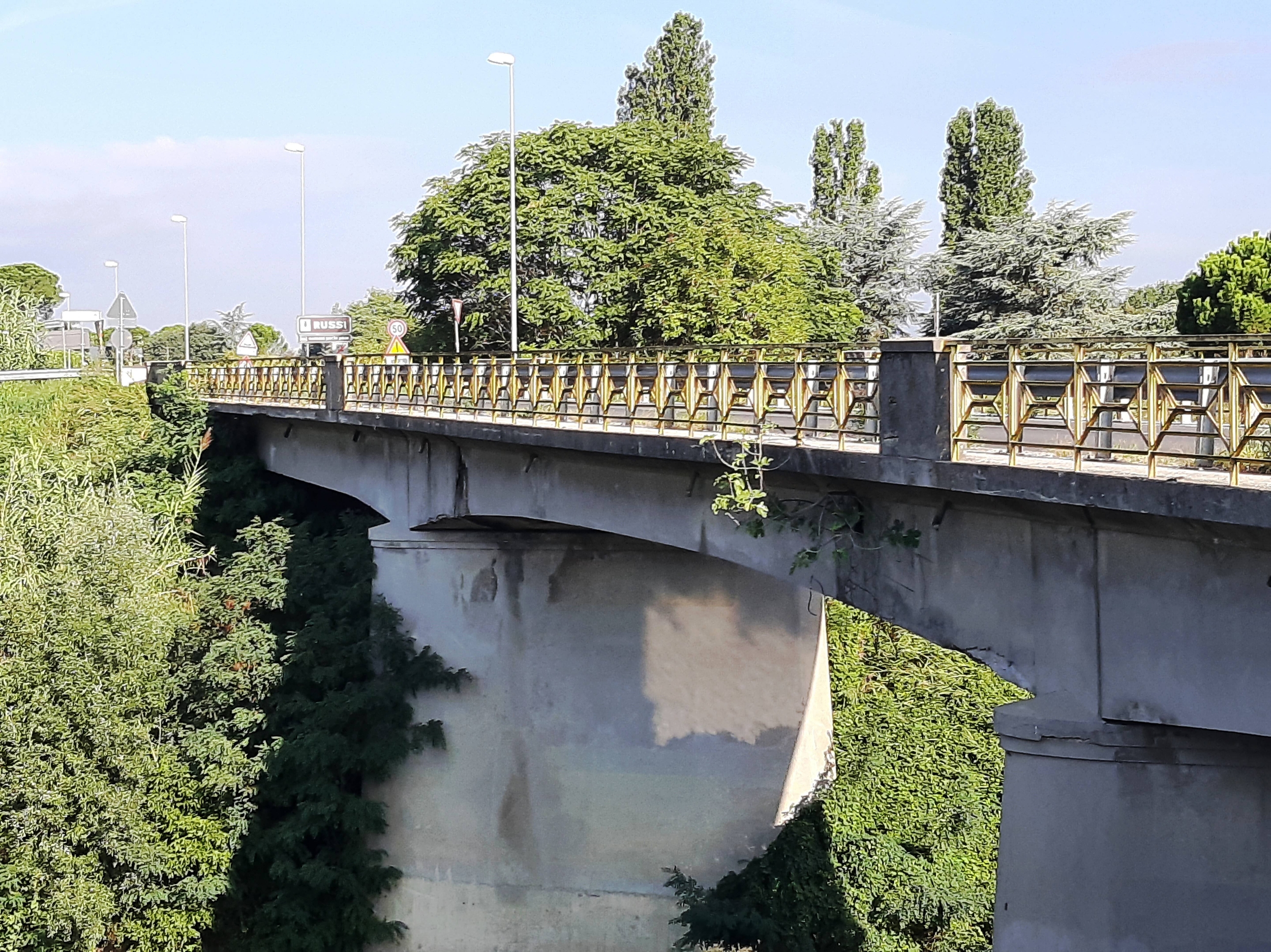 Ponte sul fiume Montone - SP n.5