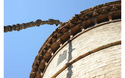 Immagine: Rampicante d’Amore