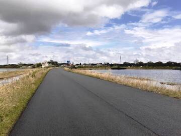 Aperte le strada provinciali n.254 "di Cervia" e n.6 "Beneficio I Tronco-Cervara"