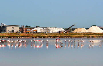 Immagine: Saline di Cervia