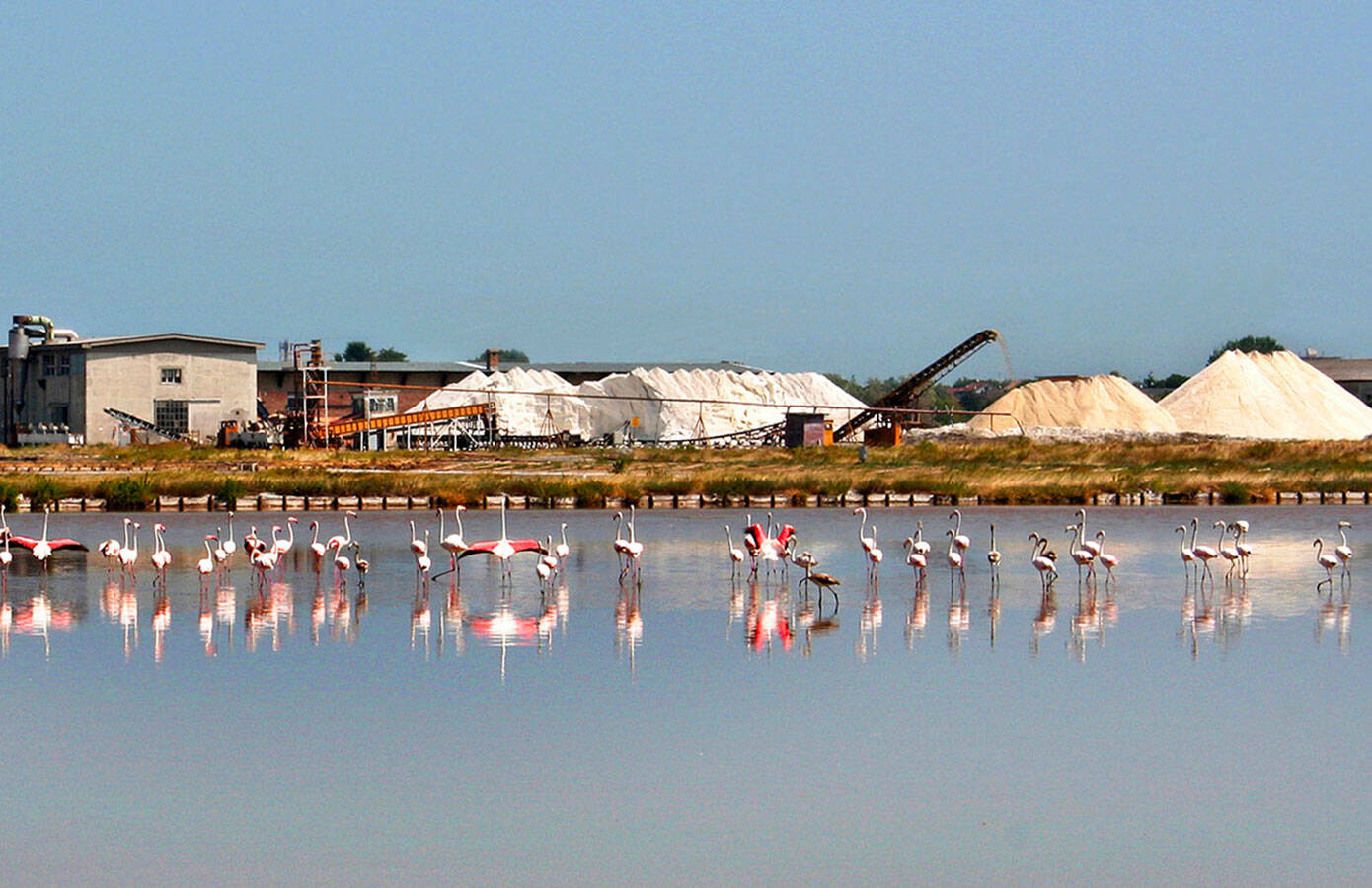 Immagine: Saline di Cervia