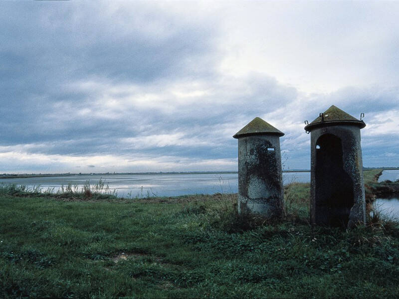 Saline Cervia