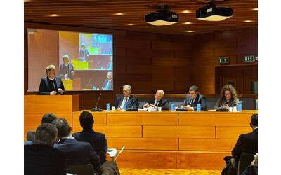 Valentina Palli - Incontro in Regione 