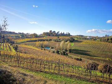 Campagna vitivinicola 2026-27